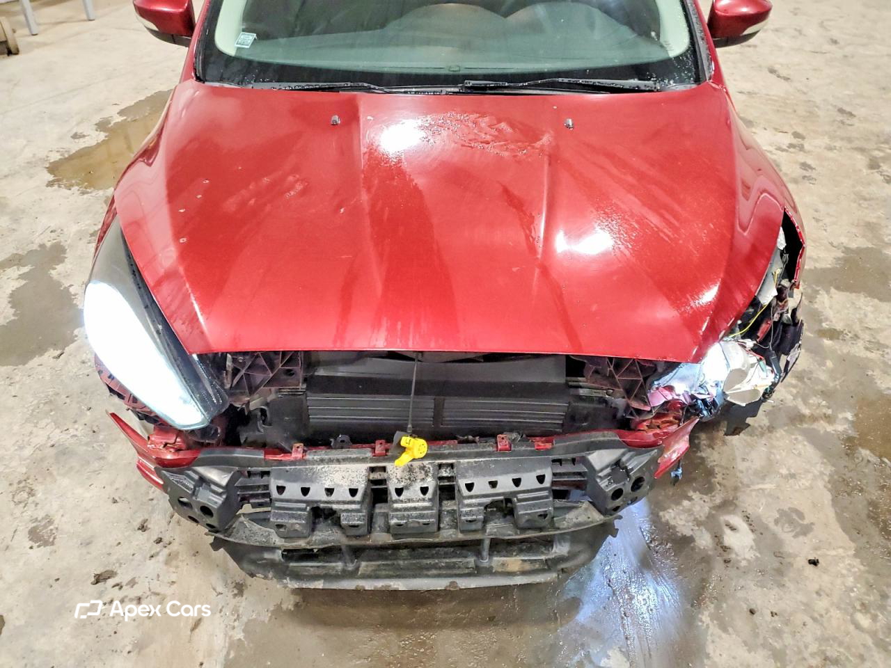 Ford Focus 2016