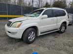 Lexus GX 2006