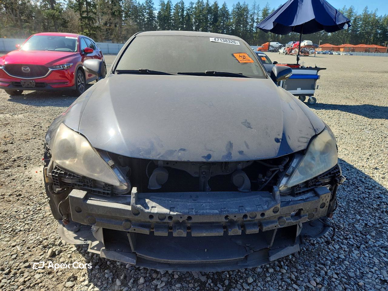 Lexus IS 2009