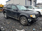 Ford Escape 2011