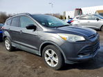 Ford Escape 2016
