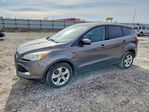 Ford Escape 2013