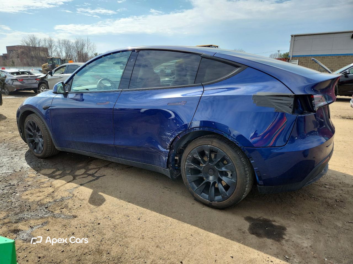 Tesla Model Y 2020