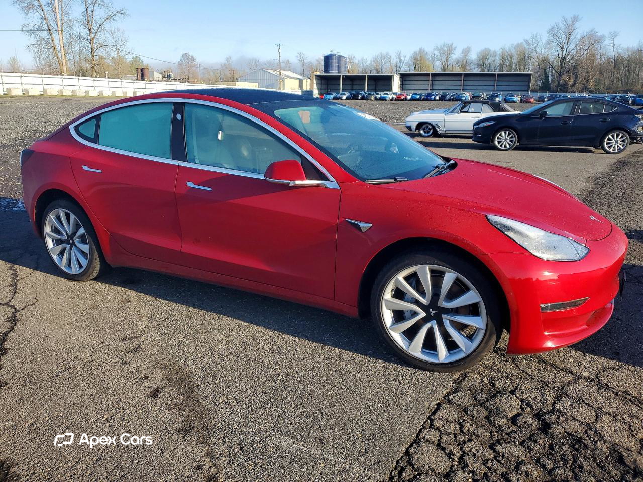 Tesla Model 3 2019