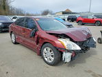 Nissan Altima 2010