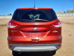 Ford Escape 2014