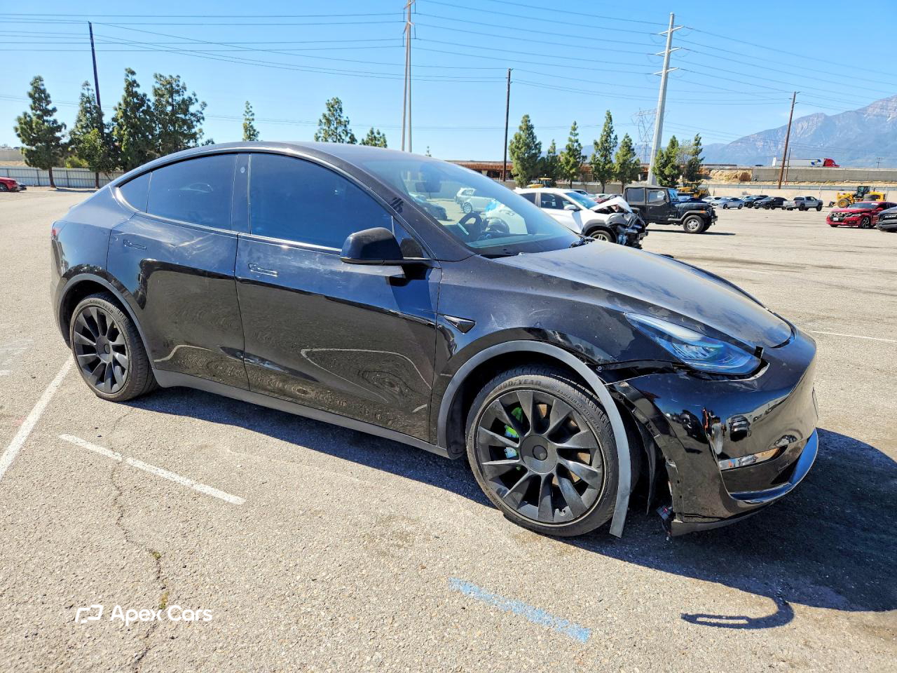 Tesla Model Y 2021