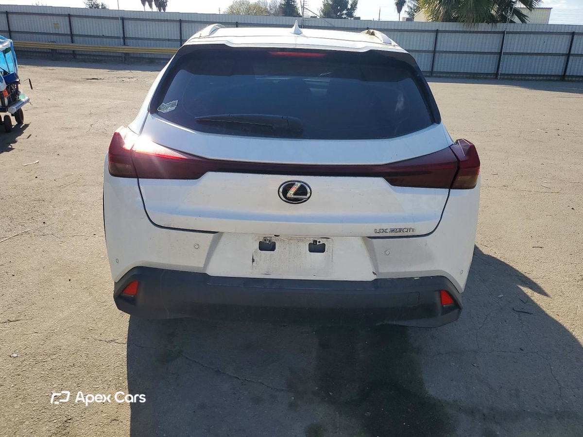 Lexus UX 2024