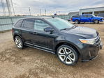 Ford Edge 2011