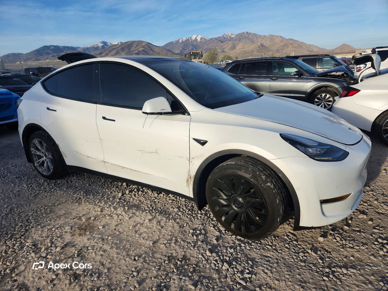 Tesla Model Y 2022