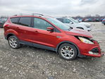 Ford Escape 2014