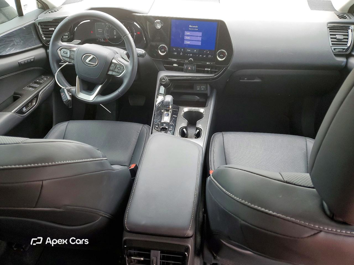Lexus NX 2023