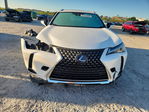 Lexus UX 2021
