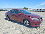 Honda Accord 2013