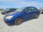 Toyota Corolla 2005