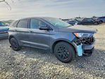 Ford Edge 2024