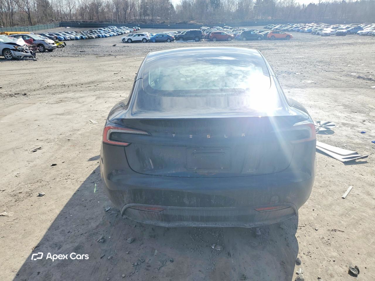 Tesla Model 3 2025