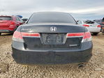 Honda Accord 2011