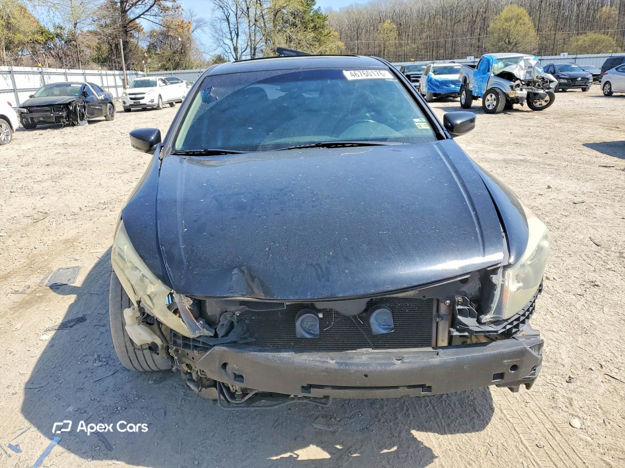 Honda Accord 2010