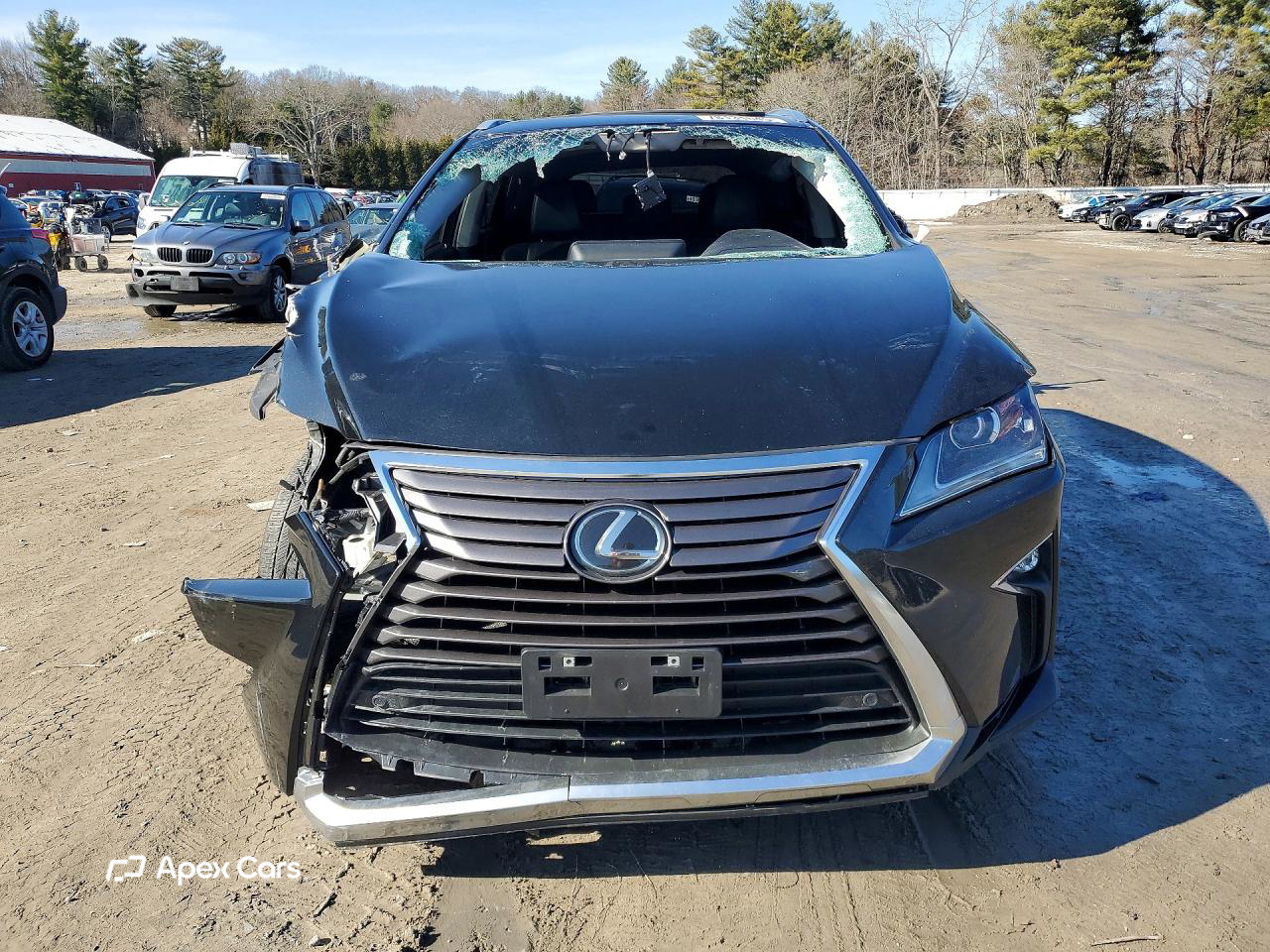 Lexus RX 2019