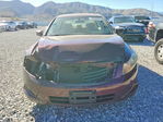 Honda Accord 2010