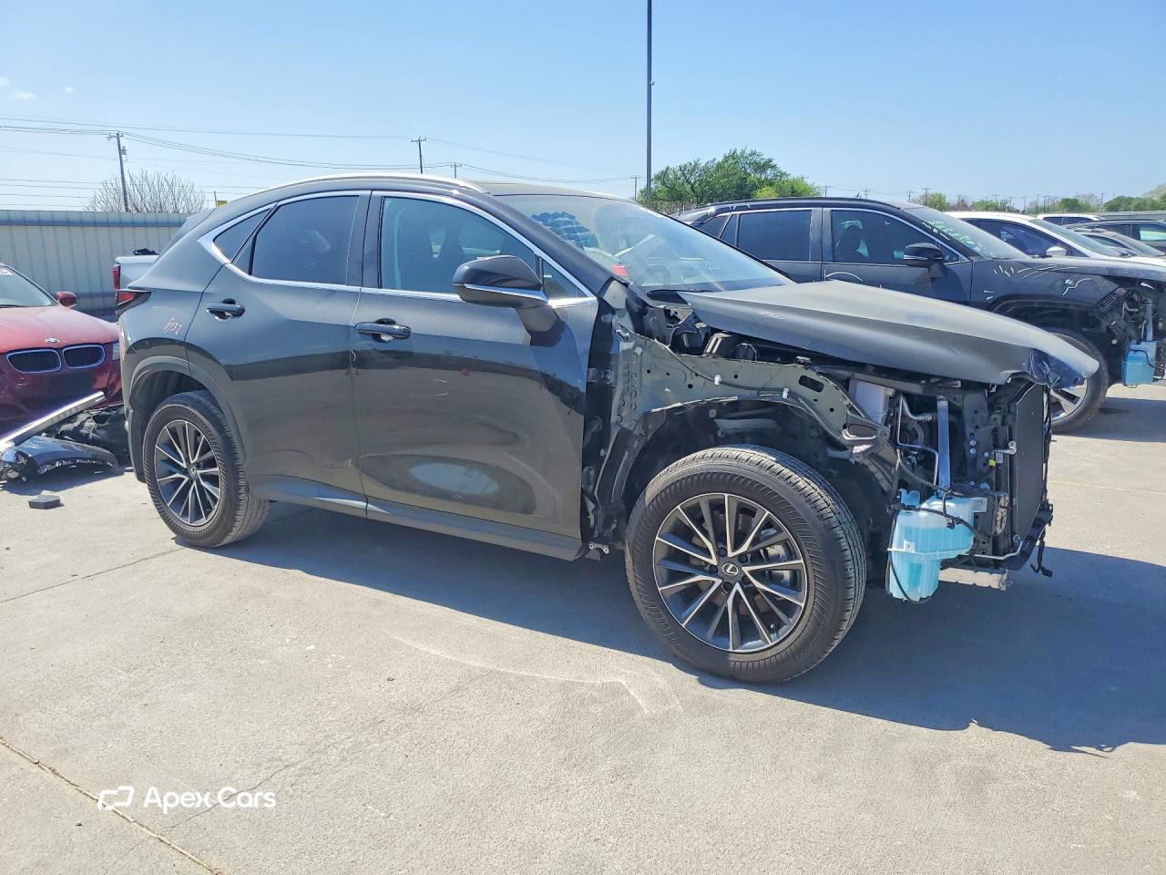Lexus NX 2025