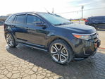 Ford Edge 2013