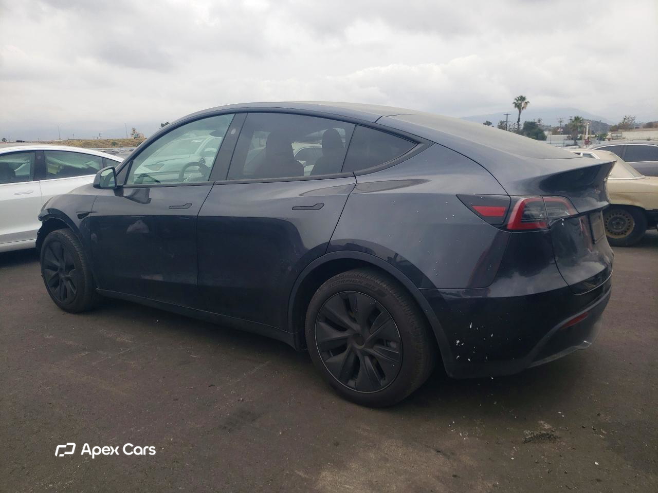 Tesla Model Y 2025