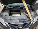 Lexus RX 2010