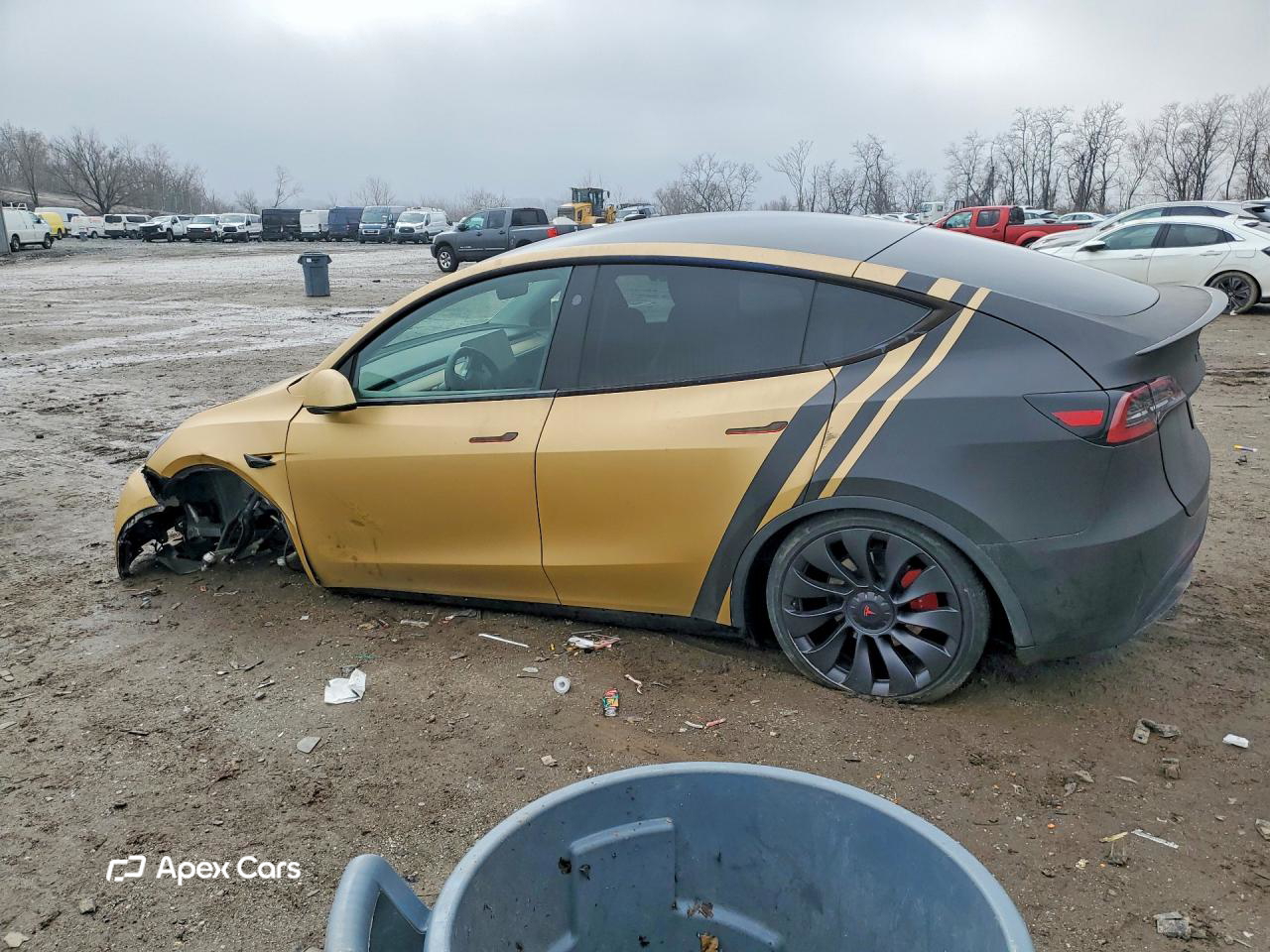Tesla Model Y 2024