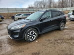 Ford Escape 2020