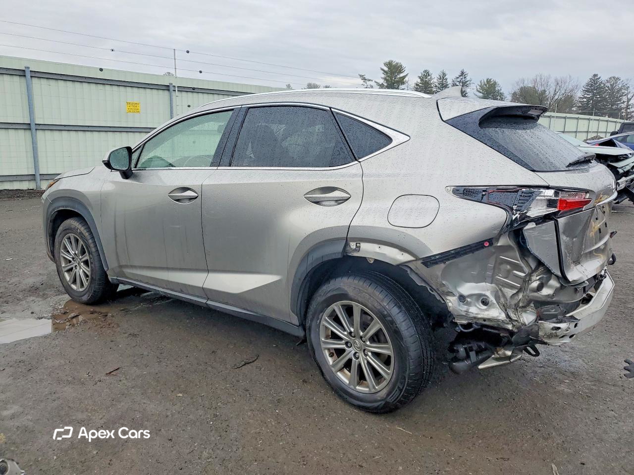 Lexus NX 2017