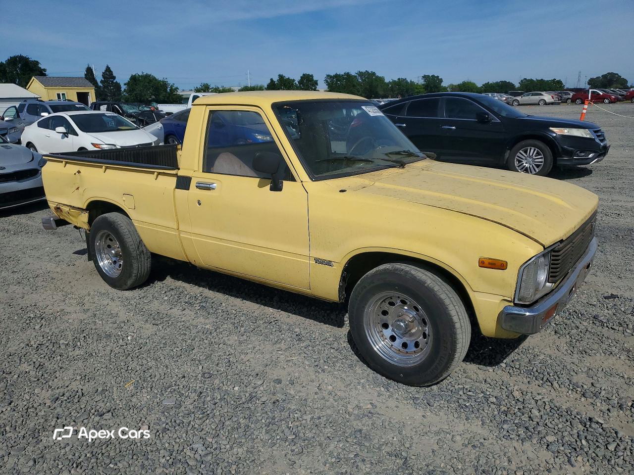 1981