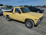 1981