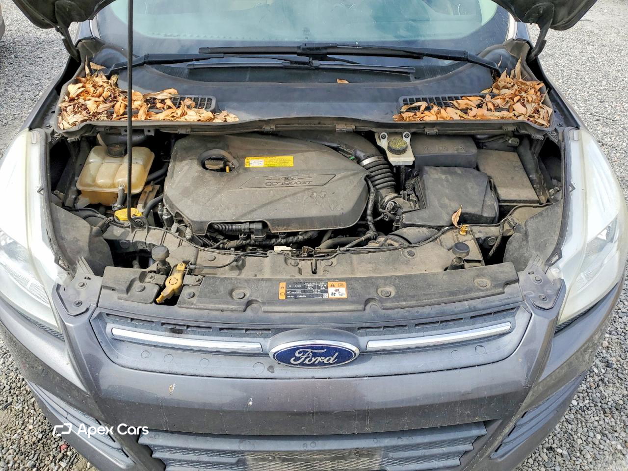 Ford Escape 2016
