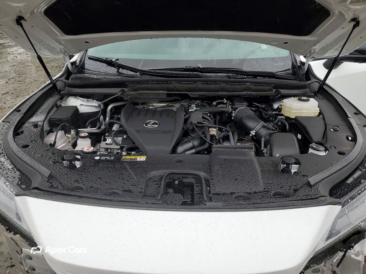 Lexus RX 2024