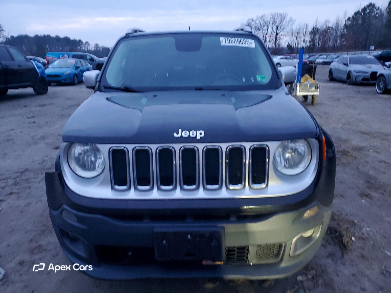 Jeep Renegade 2016
