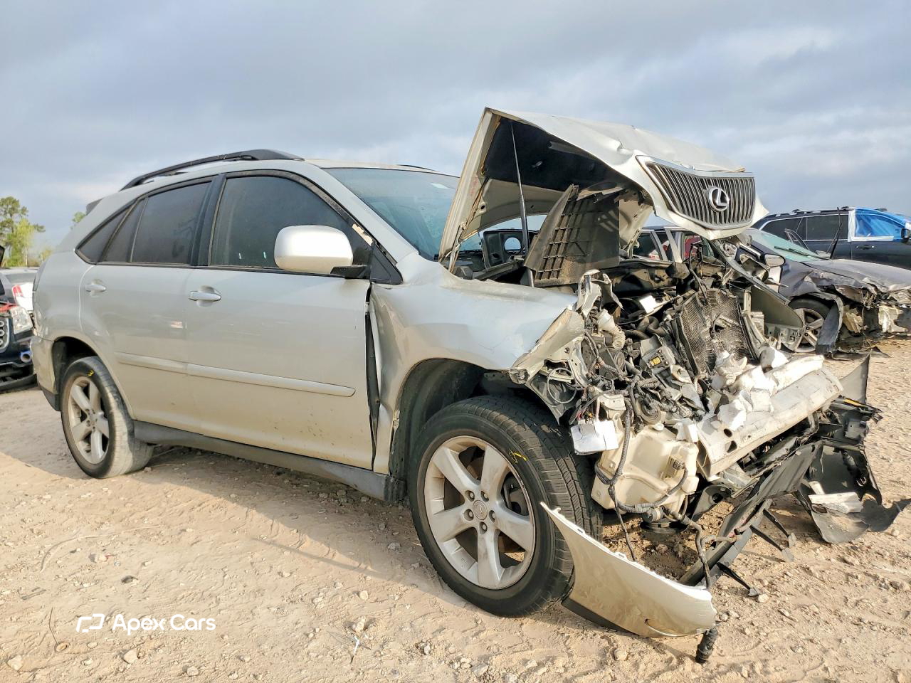 Lexus RX 2004