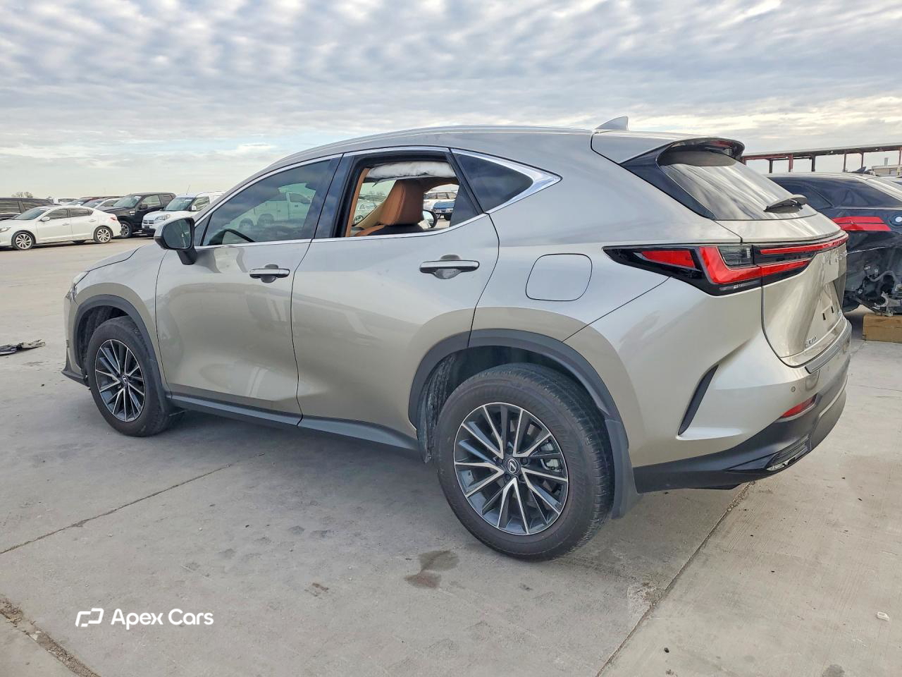 Lexus NX 2024