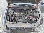 Honda Accord 2010
