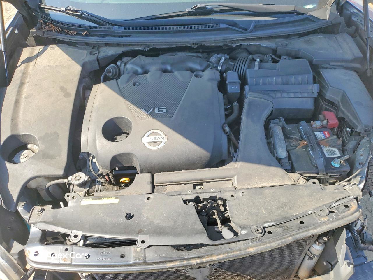 Nissan Maxima 2010