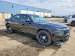 Dodge Charger 2017