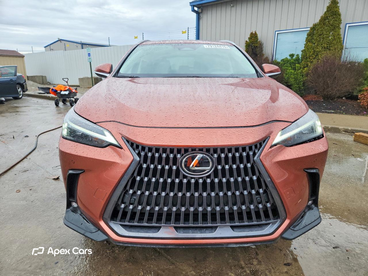 Lexus NX 2025
