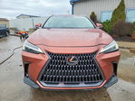 Lexus NX 2025