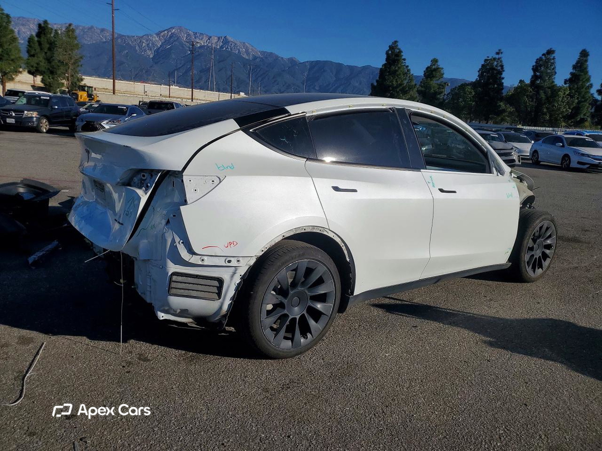 Tesla Model Y 2020