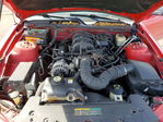 Ford Mustang 2007