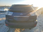 Lexus RX 2007