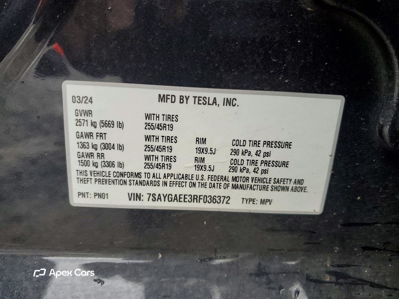 Tesla Model Y 2024