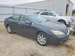 Lexus ES 2008