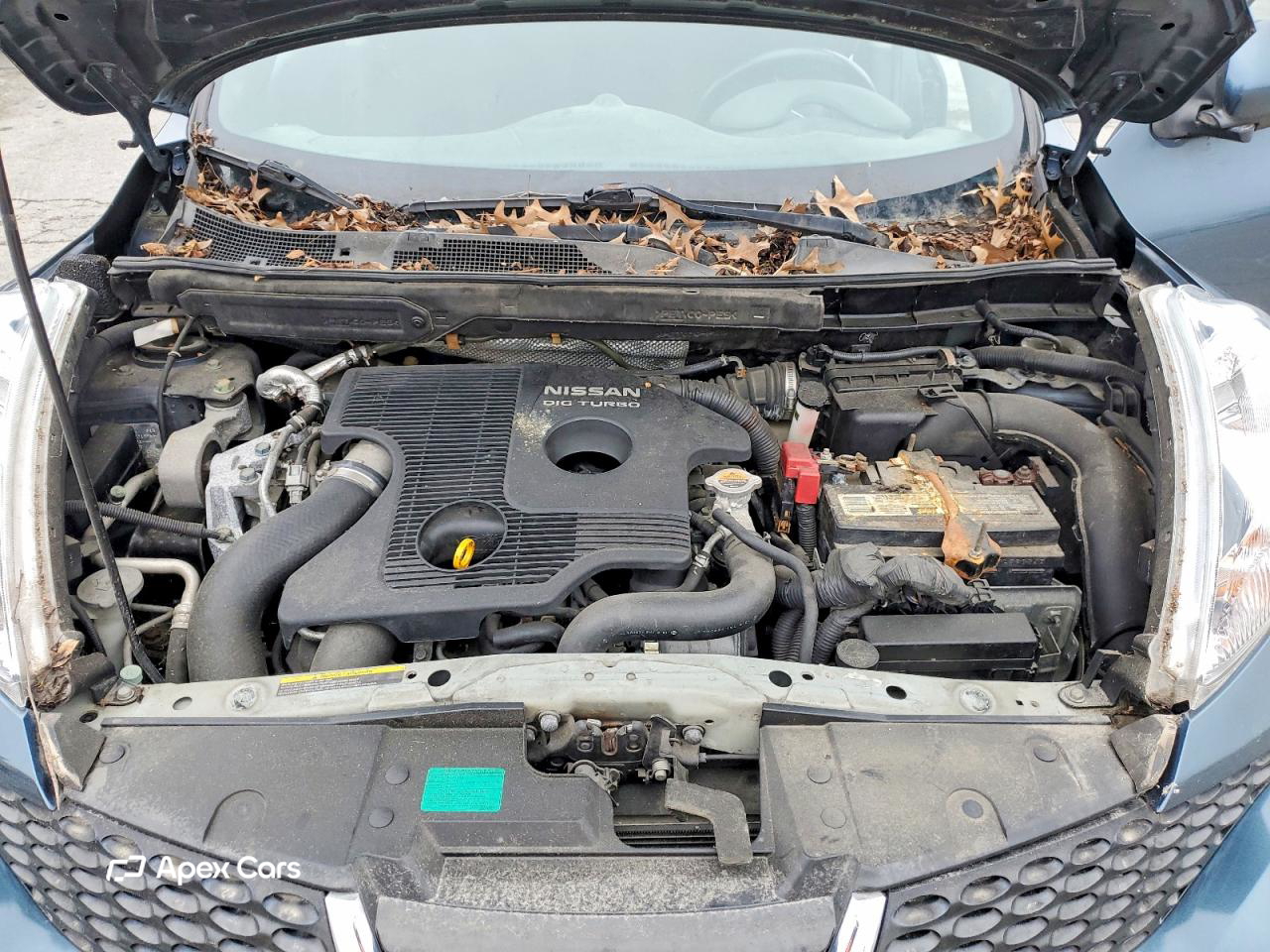 Nissan Juke 2013